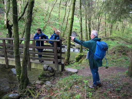 img_0074.jpg - Steep but short descent leads to a pretty spot near Bassenthwaite.