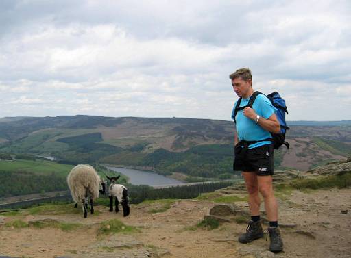 img_0075.jpg - Win Hill with sheep.