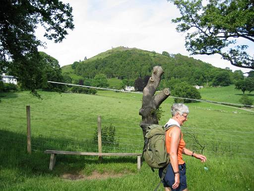 img_0122.jpg - Almost in Llangollen now - Castel Dinas Bran on the skyline.