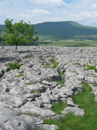 14_09-1.jpg - Pavement and Whernside