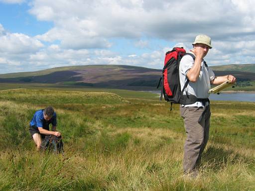 12_39-2.jpg - The heather is out, which is nice. But this seems to have attracted lots of flies, which is not nice.