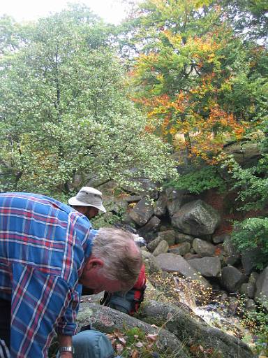 12_46-1.jpg - Bryan and special guest appearance from Gaulton. Lunch stop in Padley Gorge.