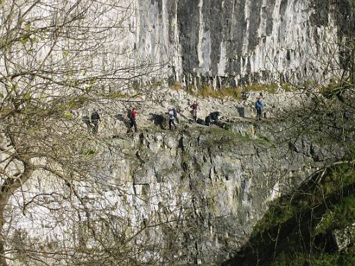 12_17-2.jpg - I thought the stream was too deep to traverse across the cove - but others disagreed.