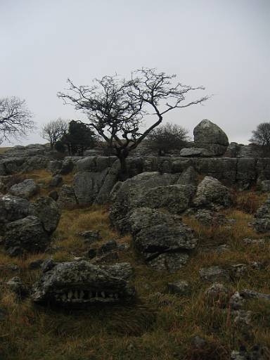 12_24-1.JPG - Farleton Fell. The rock at the front has teeth!