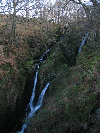 11_28-1.JPG - Stockghyll Force