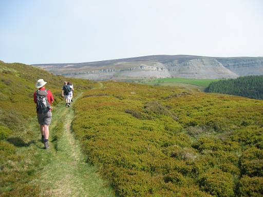 14_43-1.JPG - Past the Ponderosa the path was excellent with views to Eglwyseg Mountain