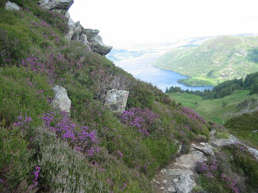 15_27-1.JPG - Heather and Ullswater