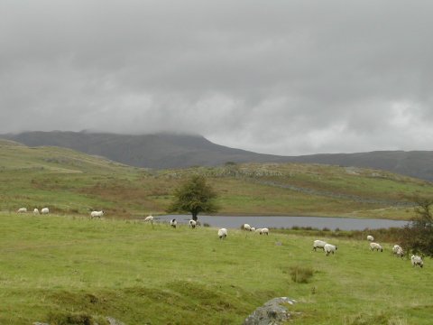 01.JPG - Tewet Tarn