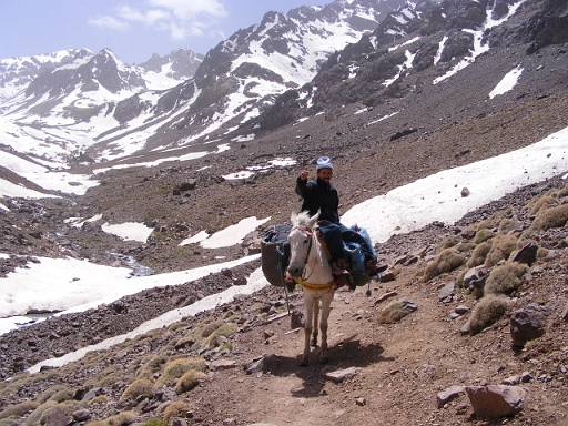 85_Muleteer.JPG - Luggage carrying mule in action with muleteer