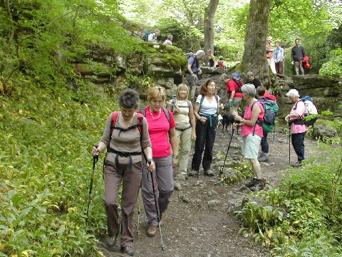 DSCN8855.JPG - C-party approaching Janet's Foss