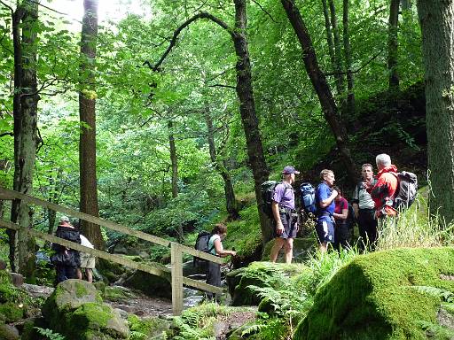 13_07-4.jpg - Looking back up Padley Gorge