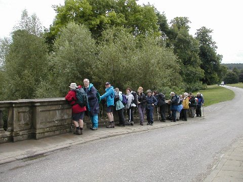 Bakewell19July2008_016.JPG - Bridge over the River Derwent