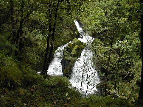 DSCN9106.JPG - Skelwith Force