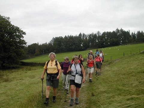 DSCN9114.JPG - C-party heading for Tarn Hows