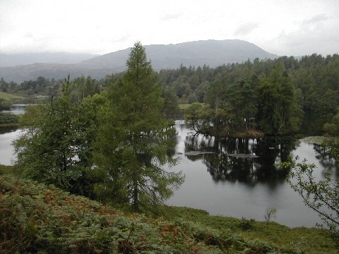 DSCN9130.JPG - Tarn Hows