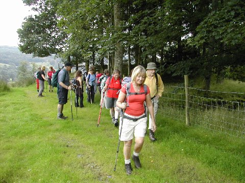 DSCN9161.JPG - Passing Tarn Hows wood