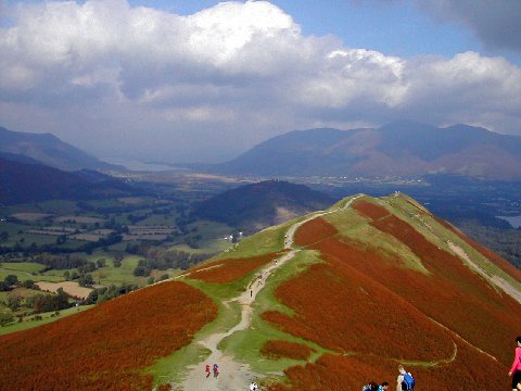 DSCN9293_edited.JPG - Cat Bells with Skiddaw behind