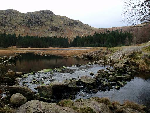 11_26-2.jpg - View across Harrop Tarn to Ullscarf