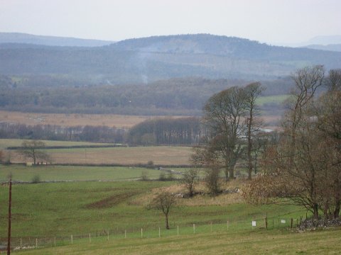 2.JPG - Arnside Knott and Eaves Wood