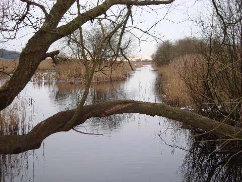 4.JPG - Leighton Moss