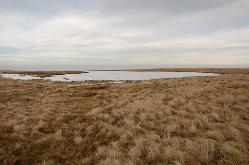 DSC_0037.JPG - Pool near The Calf