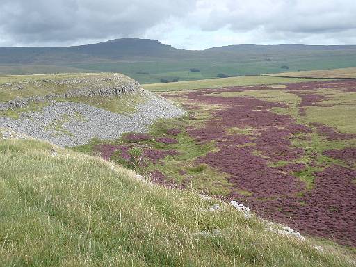 12_42-1.jpg - Overlooking Thieves Moss, with Pen-Y-Ghent in the background.