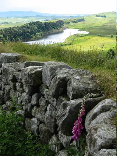 14_19-1.jpg - Wonderful view to Craig Lough.