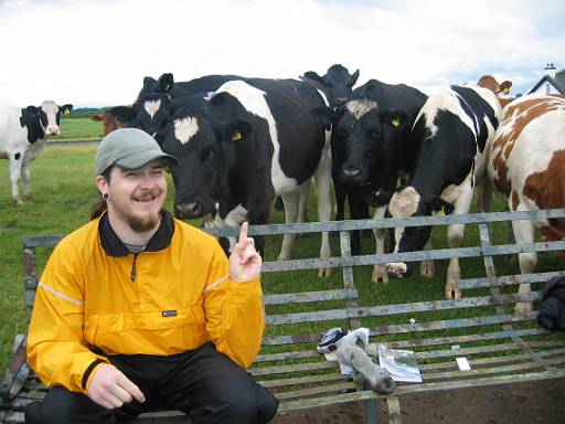 09_09-1.jpg - I stopped to put dry socks on and the cows took a very close interest.