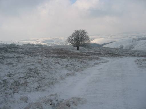 11_26-1.jpg - Descending from Long Mynd I am the first person to leave any foot prints on the road. The snow has stopped falling and I have good views - the summit had been a white out.