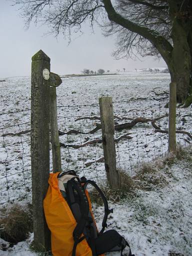 11_36-1.jpg - View back up towards Long Mynd. This was the first way marker I saw for Wild Edrics Way.