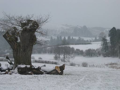 10_21-1.jpg - Heavy snow overnight leads to this view after passing through Barlow Home Farm. The pheasants had been out in force on the road from B&B at Brunslow Farm back to Kempton. £25 overnight.