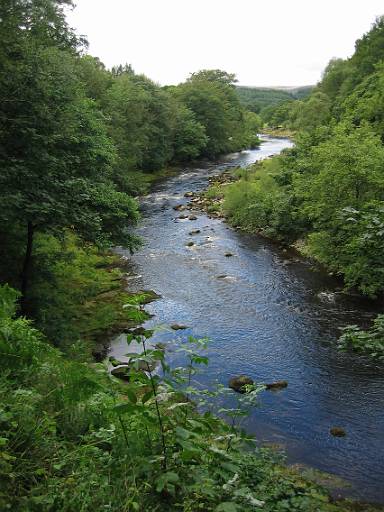 14_38-1.jpg - The Wharfe a little upstream from the Strid