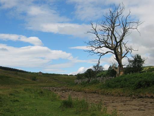 10_30-1.jpg - But Langstrothdale is very dry. Plenty of people camping by the river.