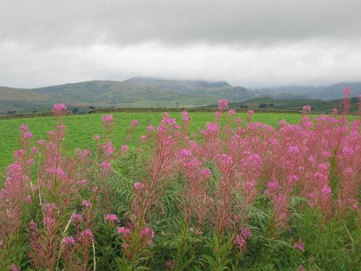 08_50-1.jpg - Views over the Fells