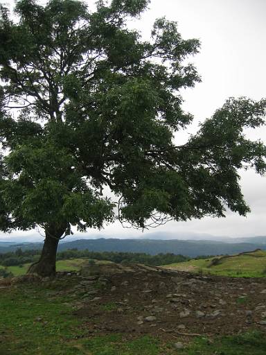 09_50-1.jpg - I can see the far side of Windermere - nearly there