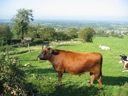 10_36-1.jpg - View from Mow Cop