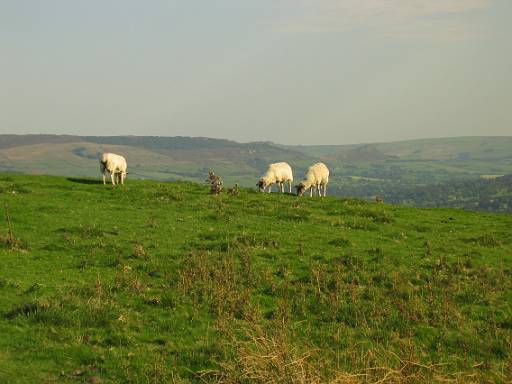 15_32-2.jpg - Hen Cloud and the Roaches