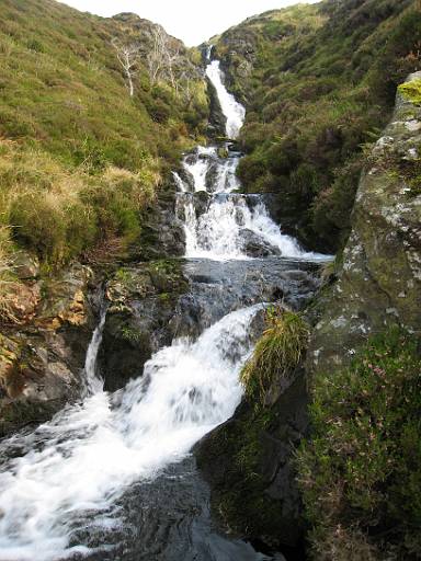 img_0014.jpg - Whitewater Dash - looking upwards