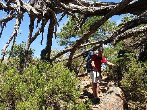 11_36-1.jpg - Phil and dead tree