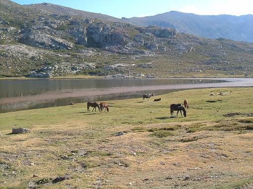 07_22-1.JPG - Grass, lake, are we dreaming?