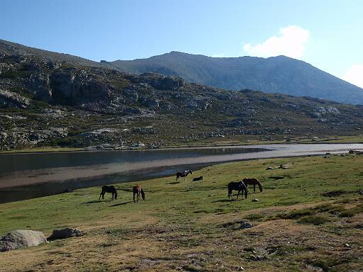 07_23-1.jpg - Lac de Nino