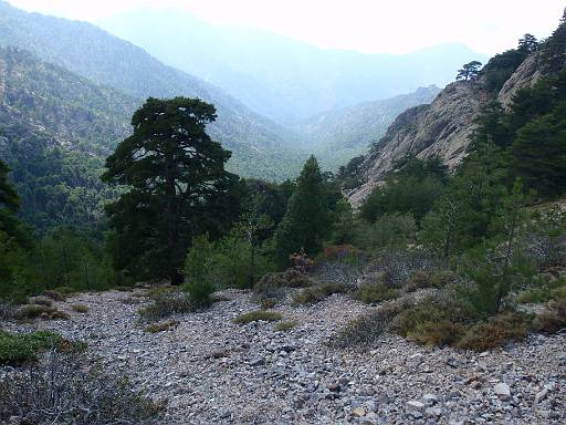 11_57-1.jpg - View down the valley