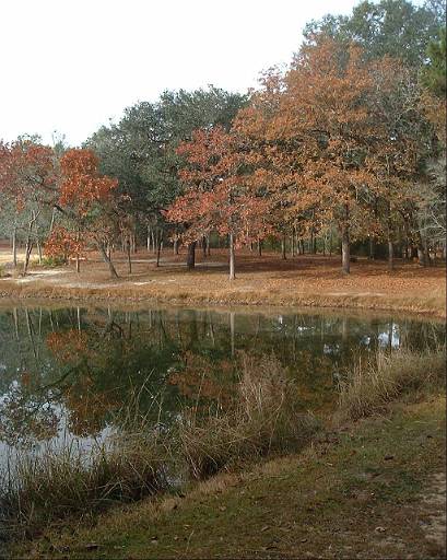 dscf0008.jpg - Aiken state natural area