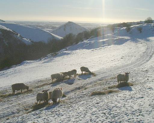 NYeve2001-072.jpg - Chilly sheep neat Air Cottage looking towards Thorpe Cloud.