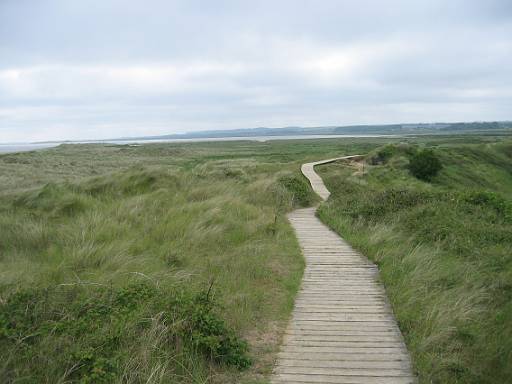 09_37-1.JPG - The boardwalk across Holme nature reserve