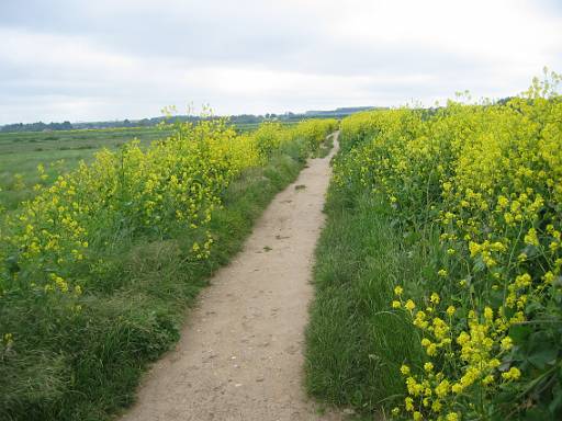 09_43-1.JPG - Banks leading to Thornham