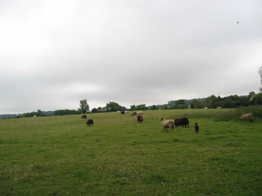 12_02-1.JPG - Not much to be seen of the Roman fort Branodunum